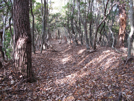 20131124hike (397)